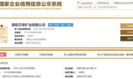 辽宁朝阳新闻爆料人是谁,揭秘辽宁朝阳新闻背后神秘爆料者